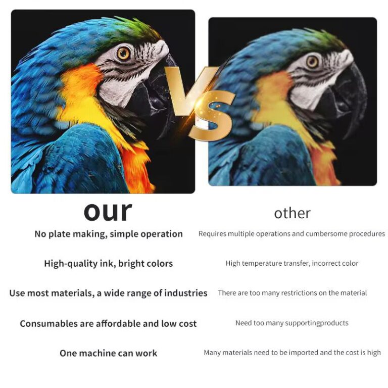 WhatsApp Image 2025-06-20 at 8.56.47 AM (3)